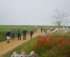 June 2013 Walking towards Hornillos del Camino